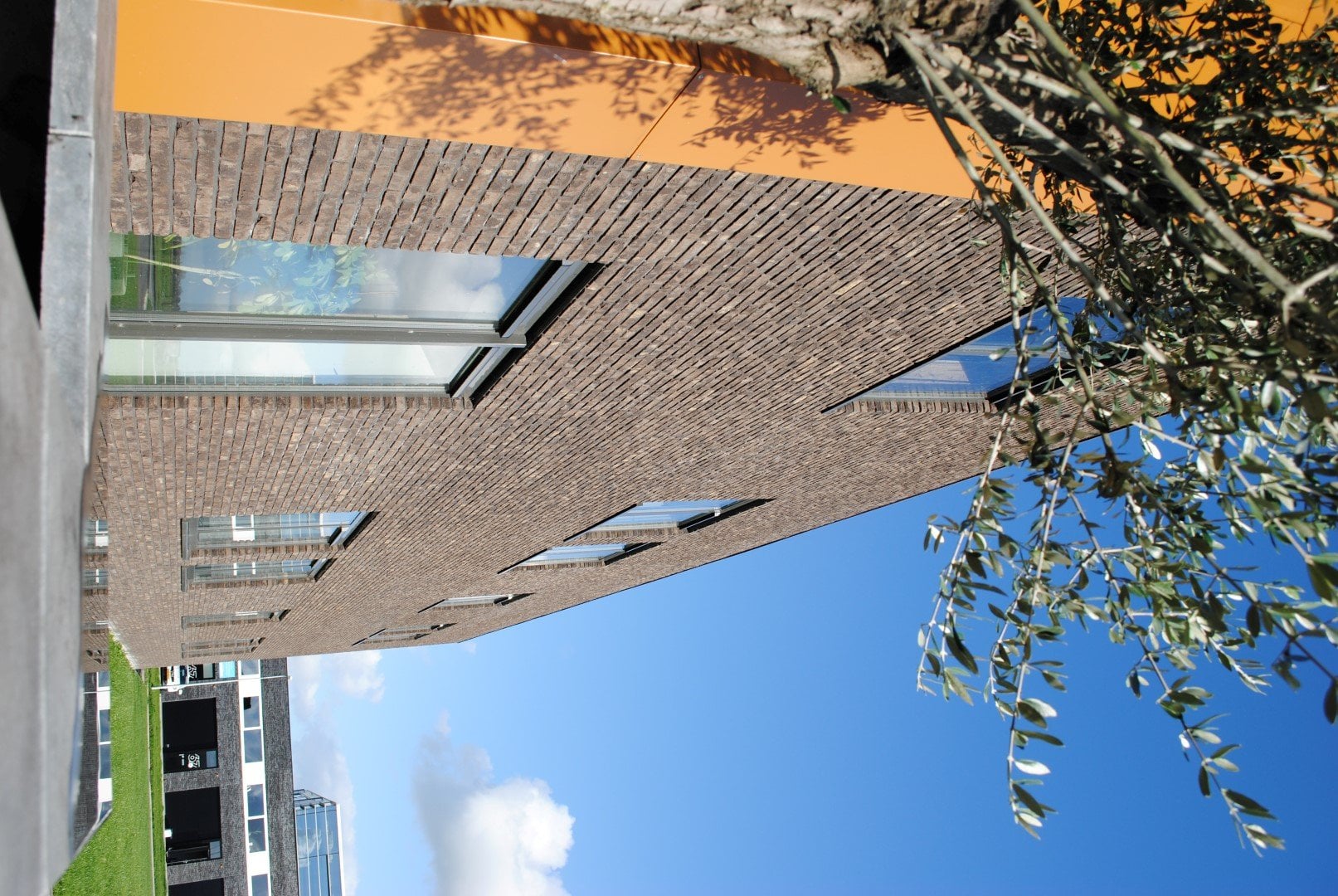 Konijn Houtbewerking, foto 5